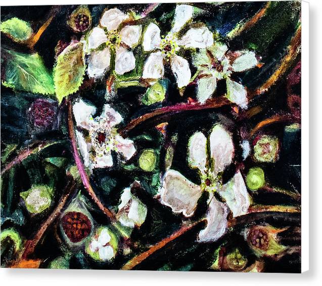Wild Blackberry Vines - Canvas Print