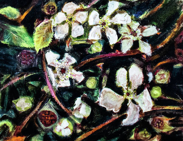 Wild Blackberry Vines - Art Print