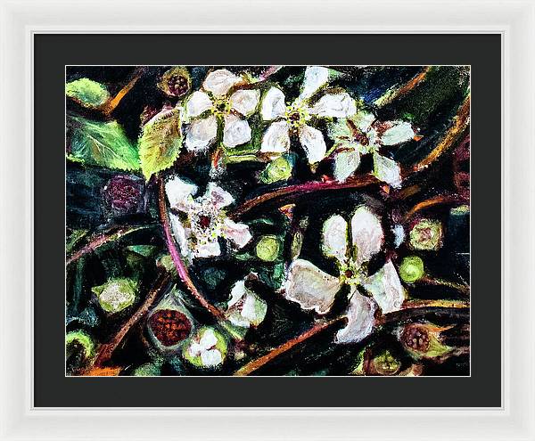 Wild Blackberry Vines - Framed Print