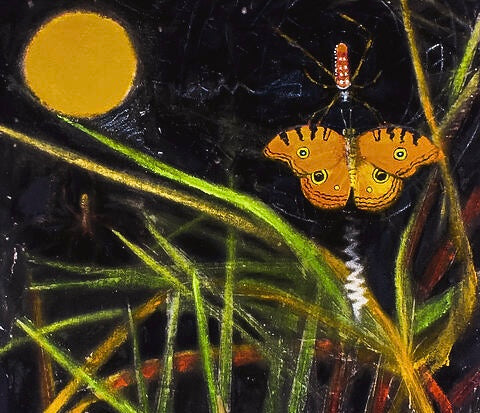 Harvest Moon -Spider Signed
