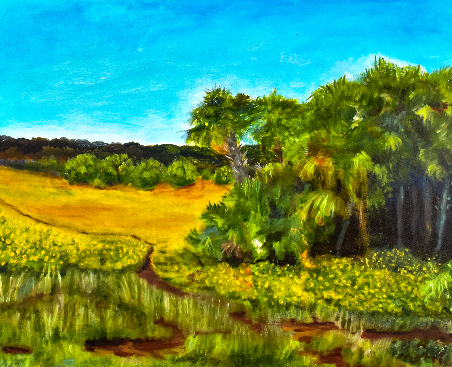 evmlookbook_expertvillagemedia