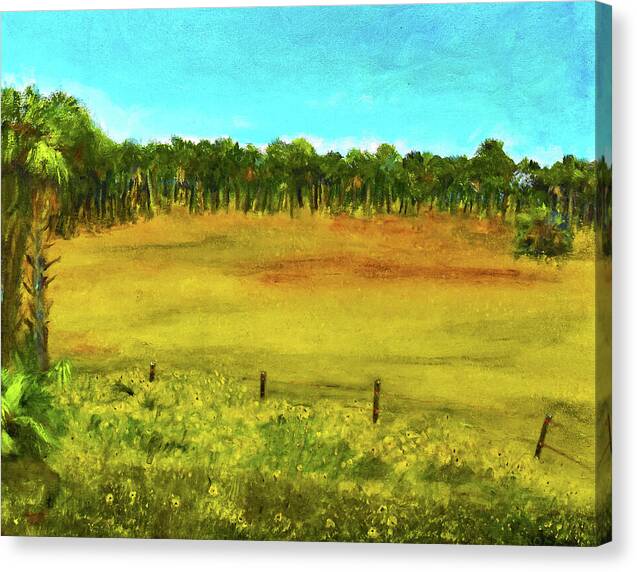 Florida Wildflowers, #2 - Canvas Print