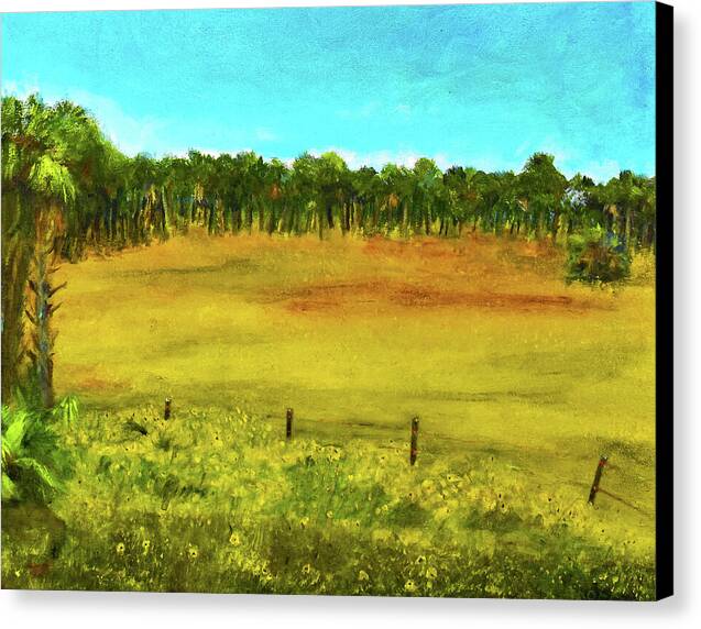 Florida Wildflowers, #2 - Canvas Print