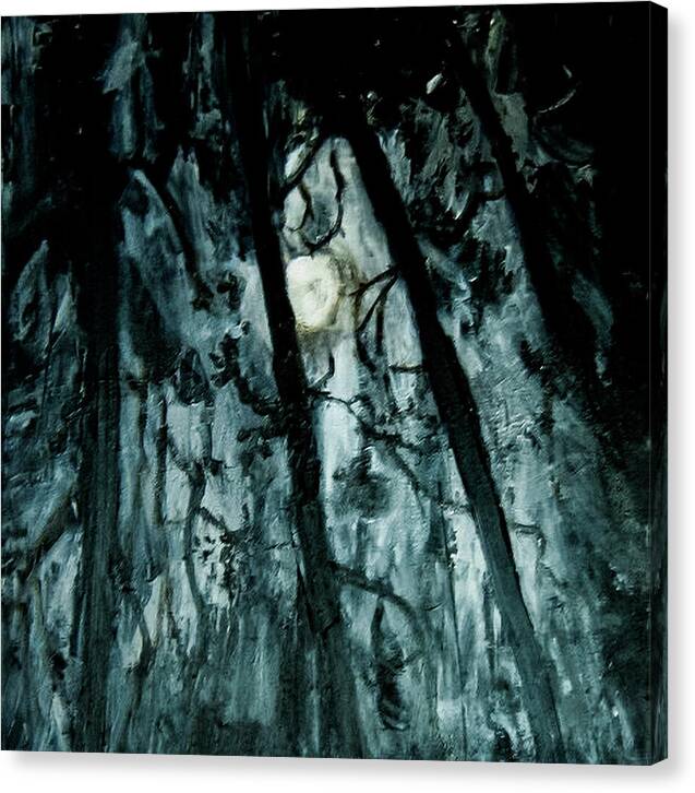 Moonlit Forest - Canvas Print