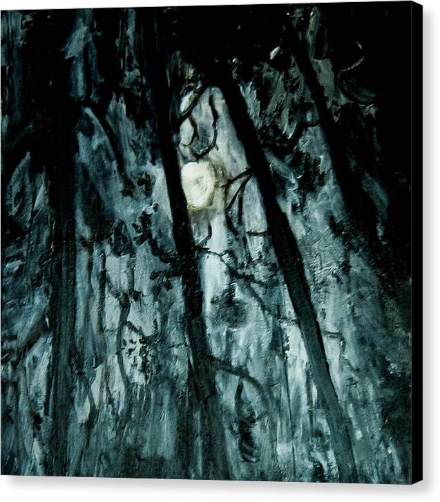 Moonlit Forest - Canvas Print