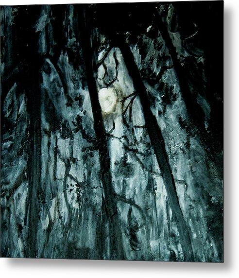 Moonlit Forest - Metal Print