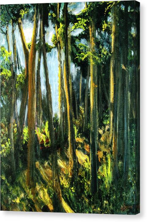 Moonlit Path along the River - Canvas Print