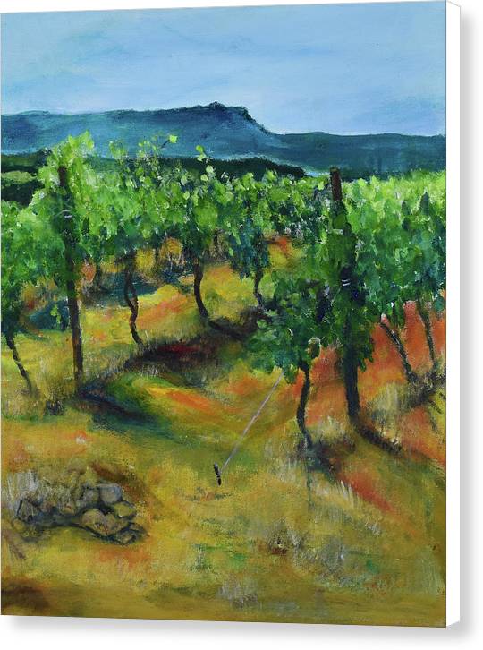 Cezanne's Mountain - Canvas Print