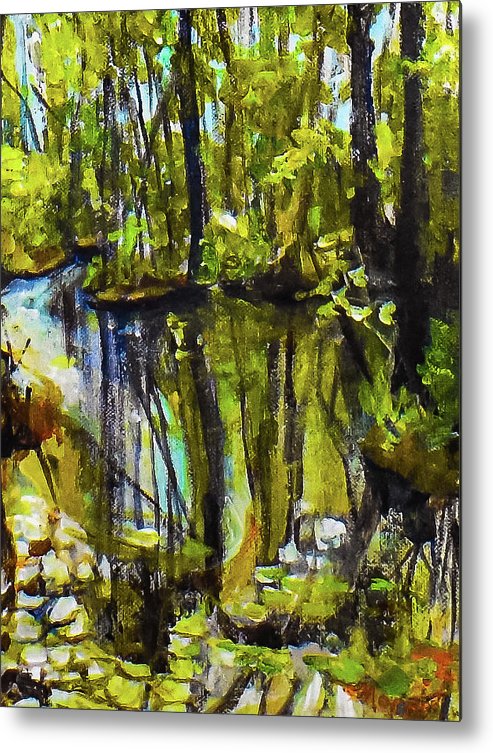 Creek, after rain - Metal Print