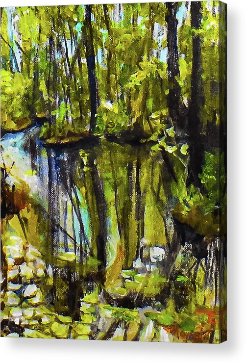 Creek, after rain - Acrylic Print