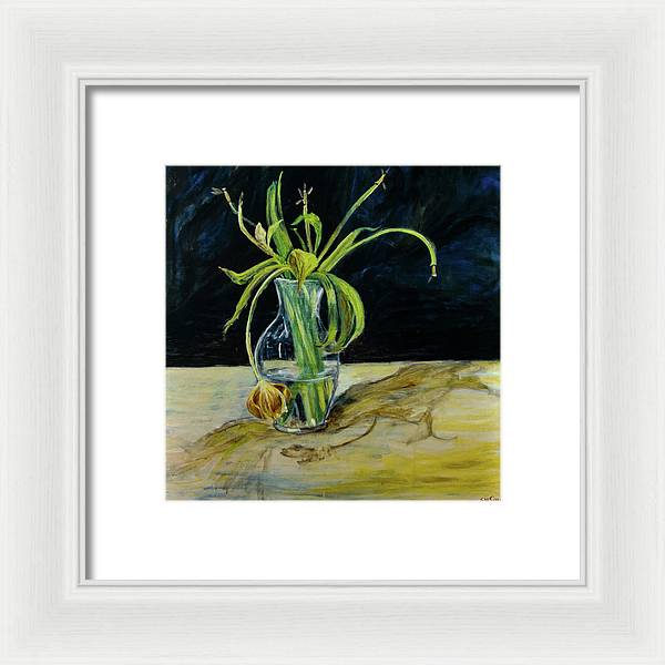 Daffodil Revealed - Framed Print