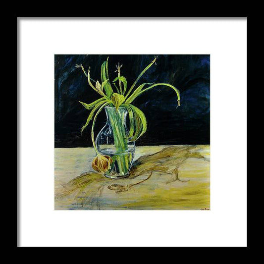 Daffodil Revealed - Framed Print