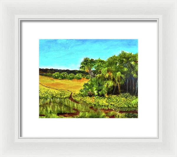 Florida Widflowers, # I - Framed Print