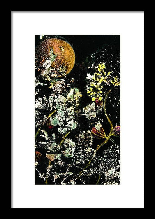 Masked Moon - Framed Print