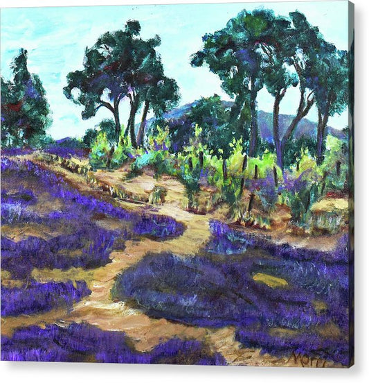 Provence France, Lavender - 'en plein air - Acrylic Print