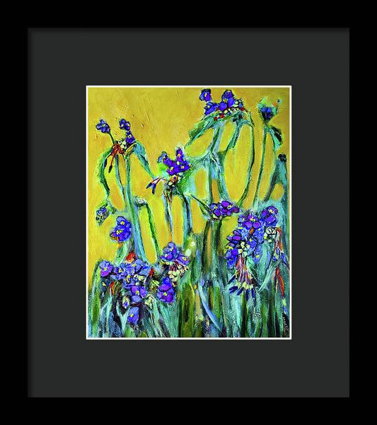 Spiderworts Wildflower - Framed Print
