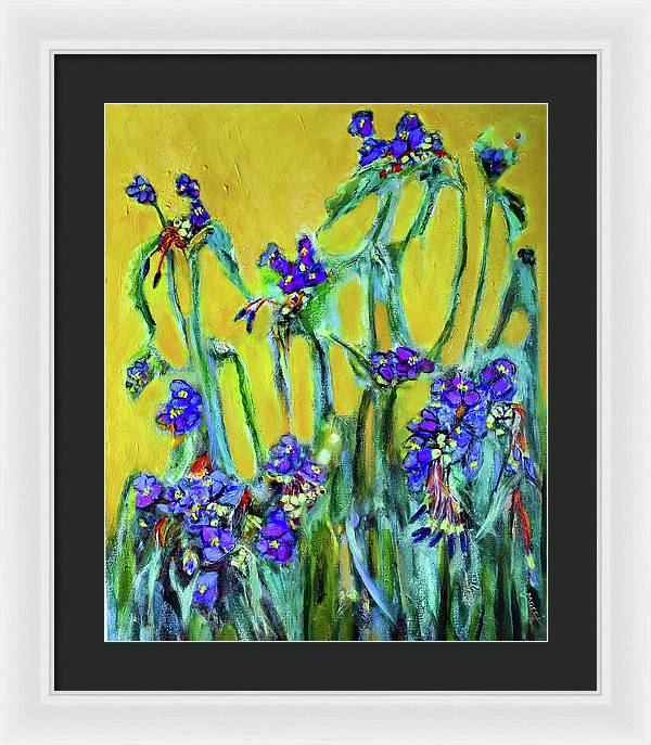 Spiderworts Wildflower - Framed Print