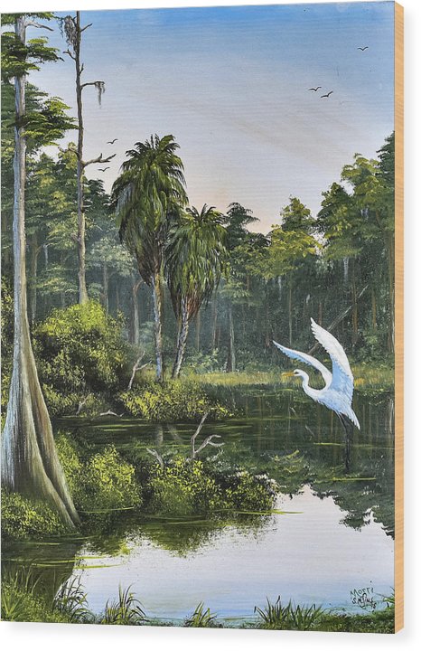 The Cove - early on - Wood Print