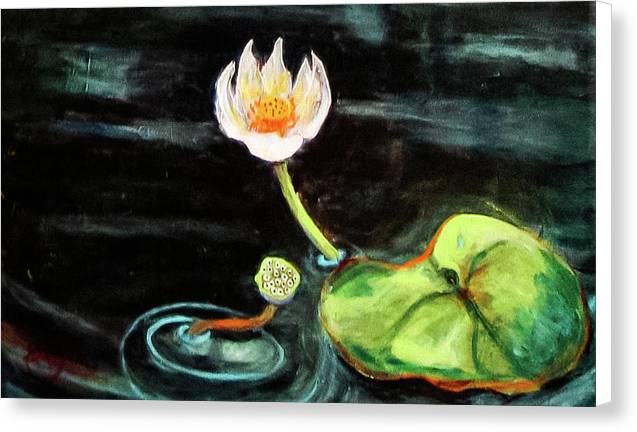 The Seeker, Lotus Flower - Canvas Print