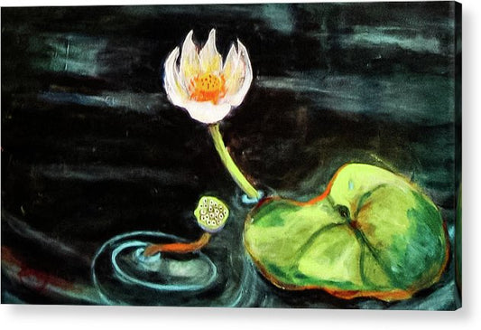 The Seeker, Lotus Flower - Acrylic Print