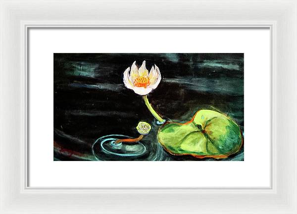 The Seeker, Lotus Flower - Framed Print
