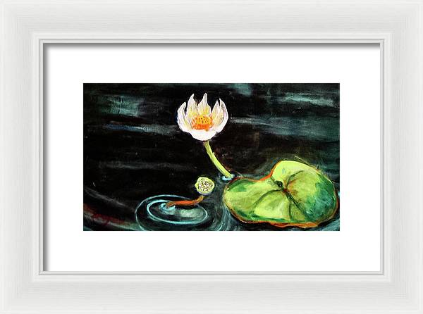 The Seeker, Lotus Flower - Framed Print