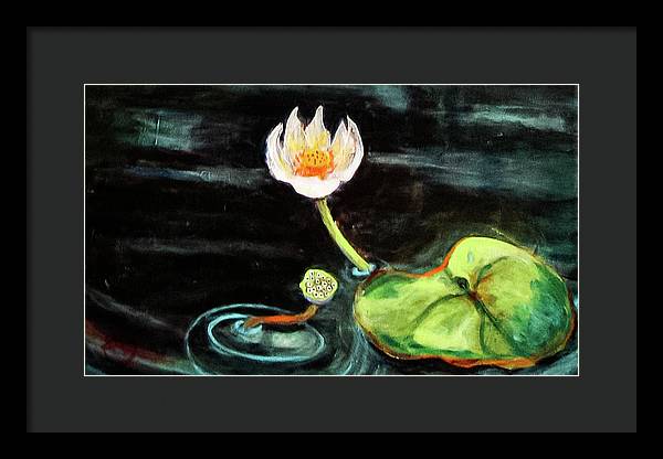 The Seeker, Lotus Flower - Framed Print