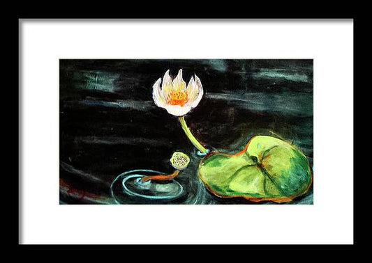 The Seeker, Lotus Flower - Framed Print