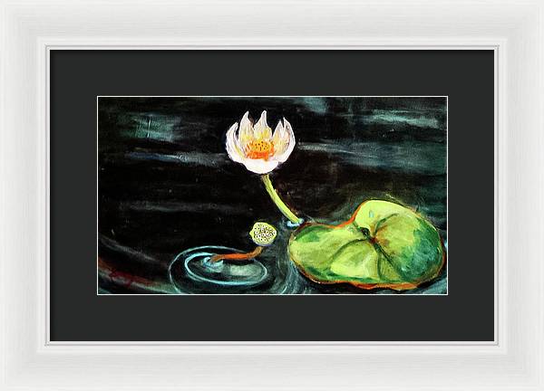 The Seeker, Lotus Flower - Framed Print