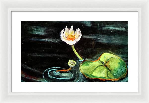 The Seeker, Lotus Flower - Framed Print