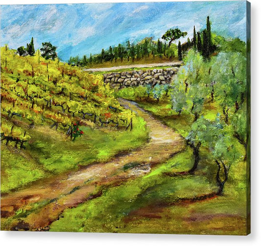 Vineyard Road - Tuscany, Italy 'en plein air - Acrylic Print