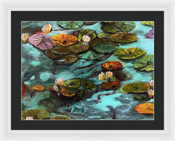 Water lilies area #1 C series - Framed Print