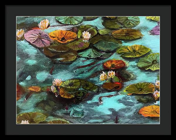 Water lilies area #1 C series - Framed Print