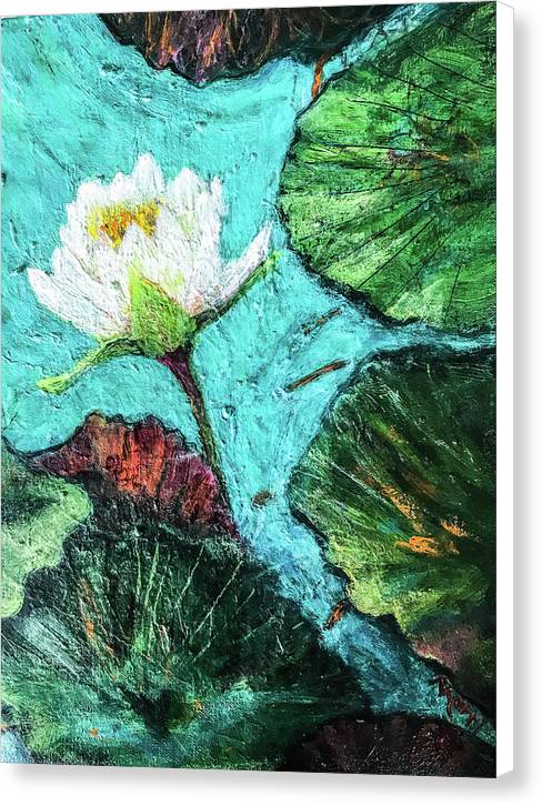 Water Lily Solo, #2 - Canvas Print