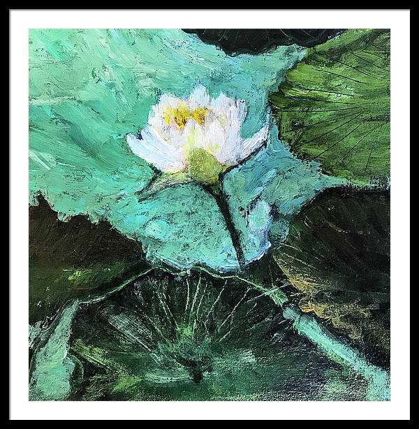 Water Lily, Solo #1 - Framed Print