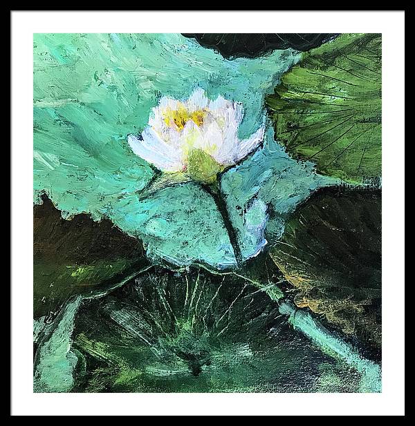 Water Lily, Solo #1 - Framed Print