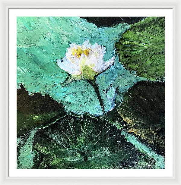 Water Lily, Solo #1 - Framed Print