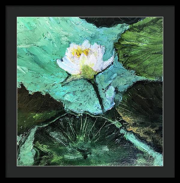 Water Lily, Solo #1 - Framed Print