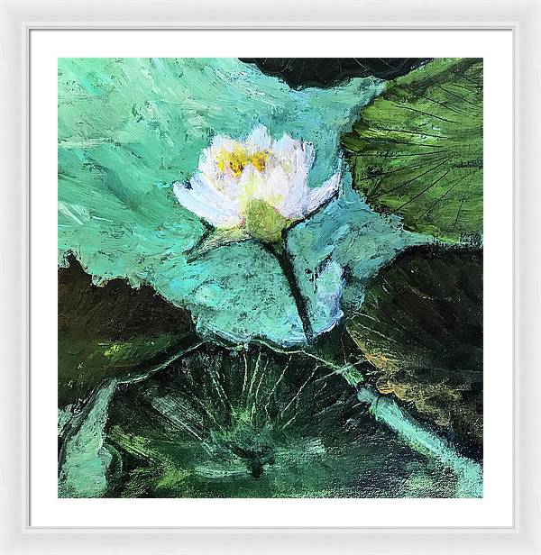 Water Lily, Solo #1 - Framed Print