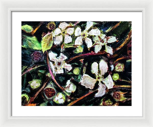 Wild Blackberry Vines - Framed Print