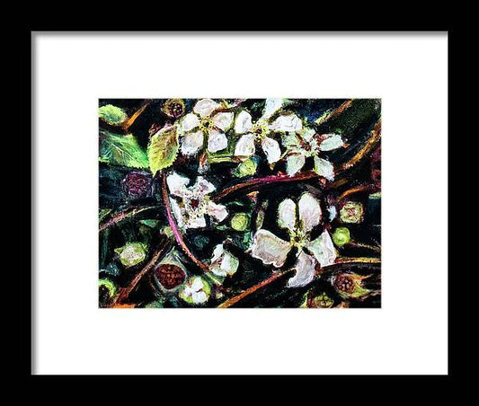 Wild Blackberry Vines - Framed Print