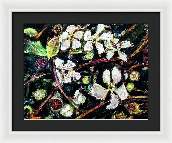 Wild Blackberry Vines - Framed Print