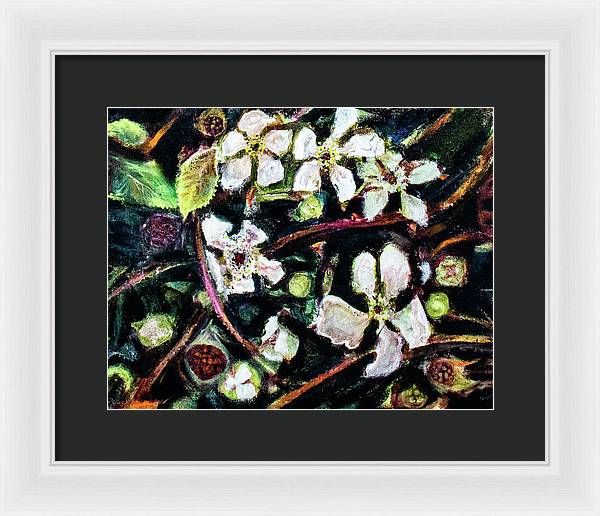 Wild Blackberry Vines - Framed Print