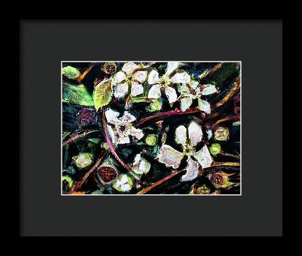 Wild Blackberry Vines - Framed Print