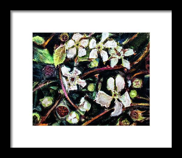 Wild Blackberry Vines - Framed Print