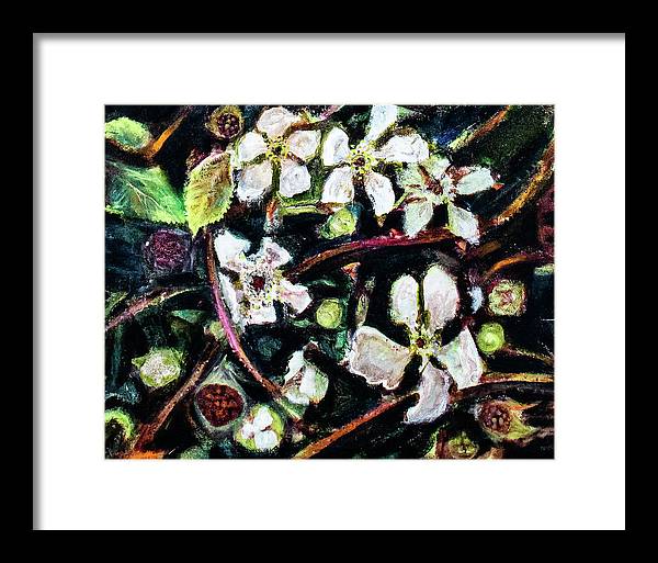 Wild Blackberry Vines - Framed Print