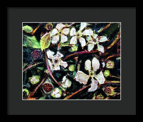 Wild Blackberry Vines - Framed Print