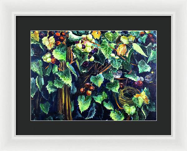 Yellow-rumped Warbler Within Muscadines - Framed Print