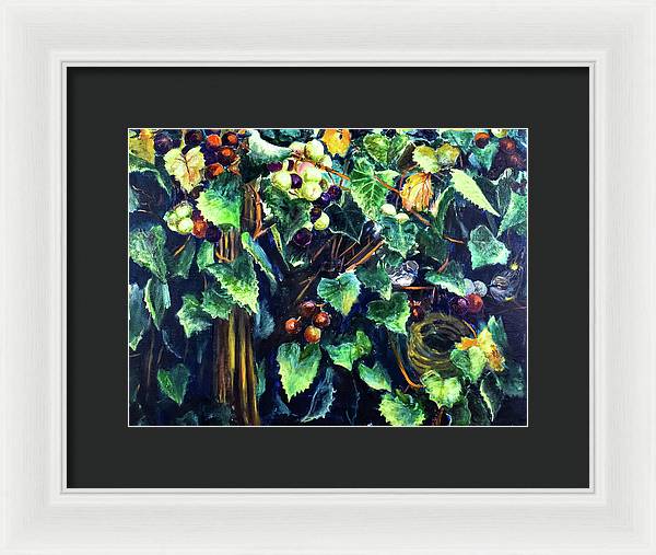 Yellow-rumped Warbler Within Muscadines - Framed Print