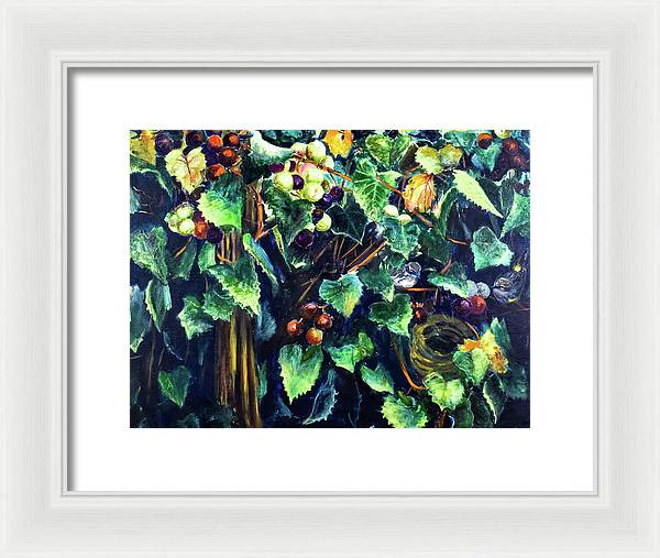 Yellow-rumped Warbler Within Muscadines - Framed Print